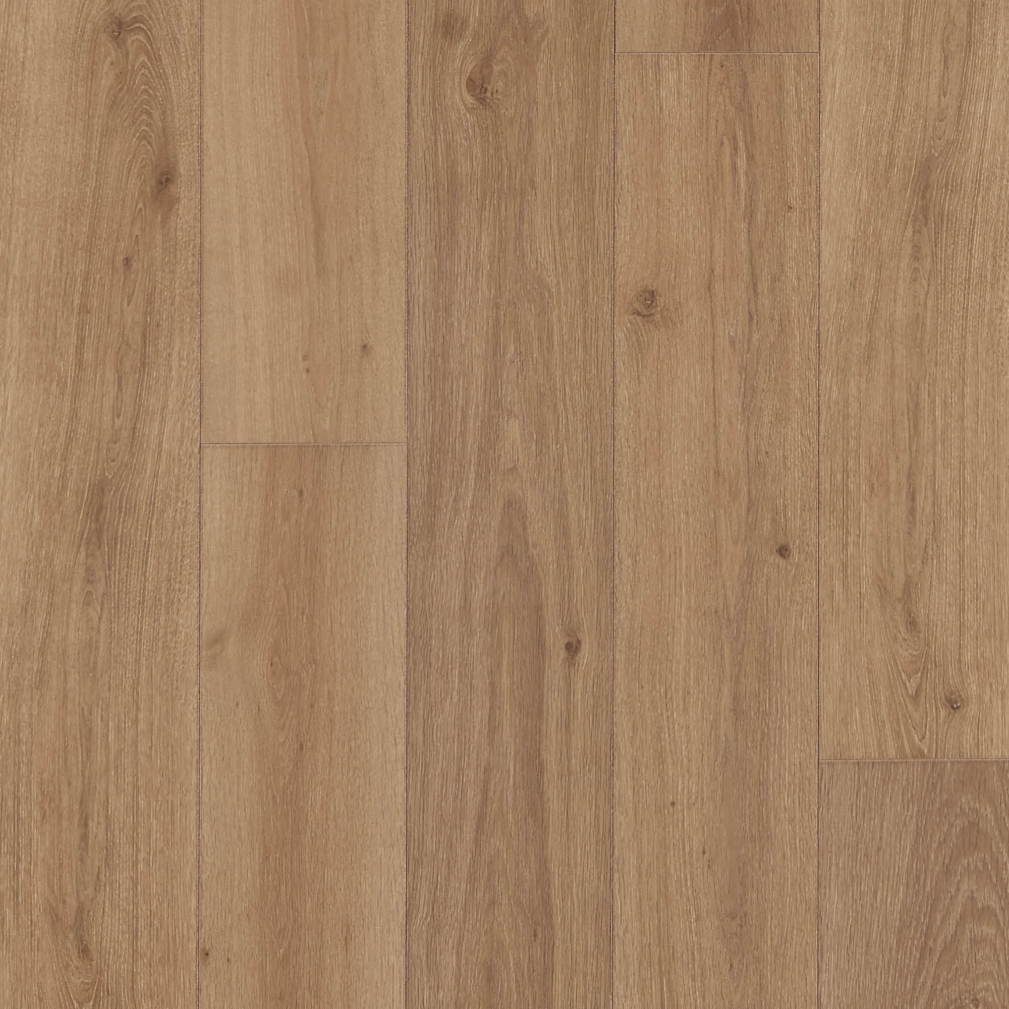 floor-img